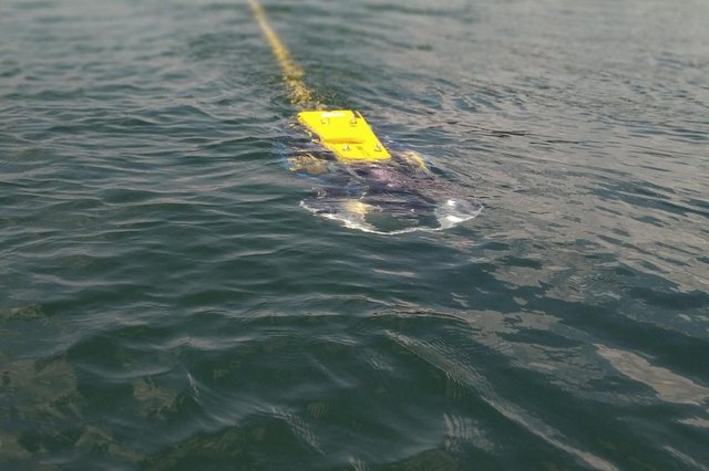 ROV ORCA