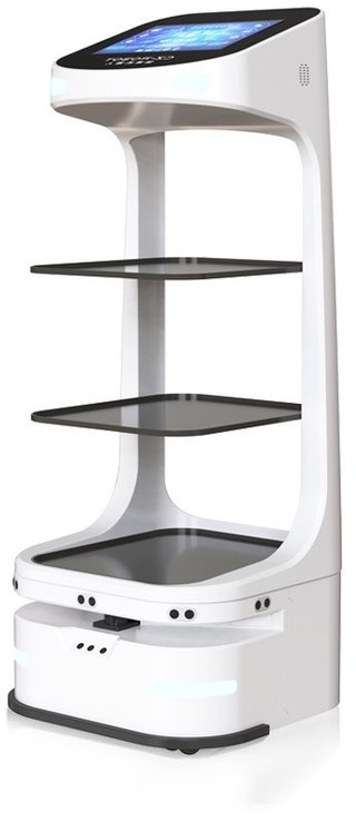 Food Delivery Robot