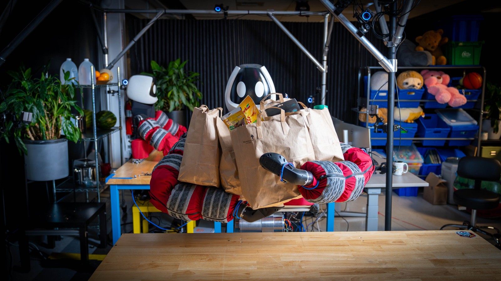 TRI Punyo robot