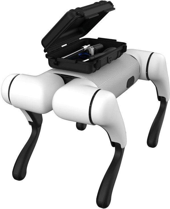 BabyAlpha Dev-Q robot