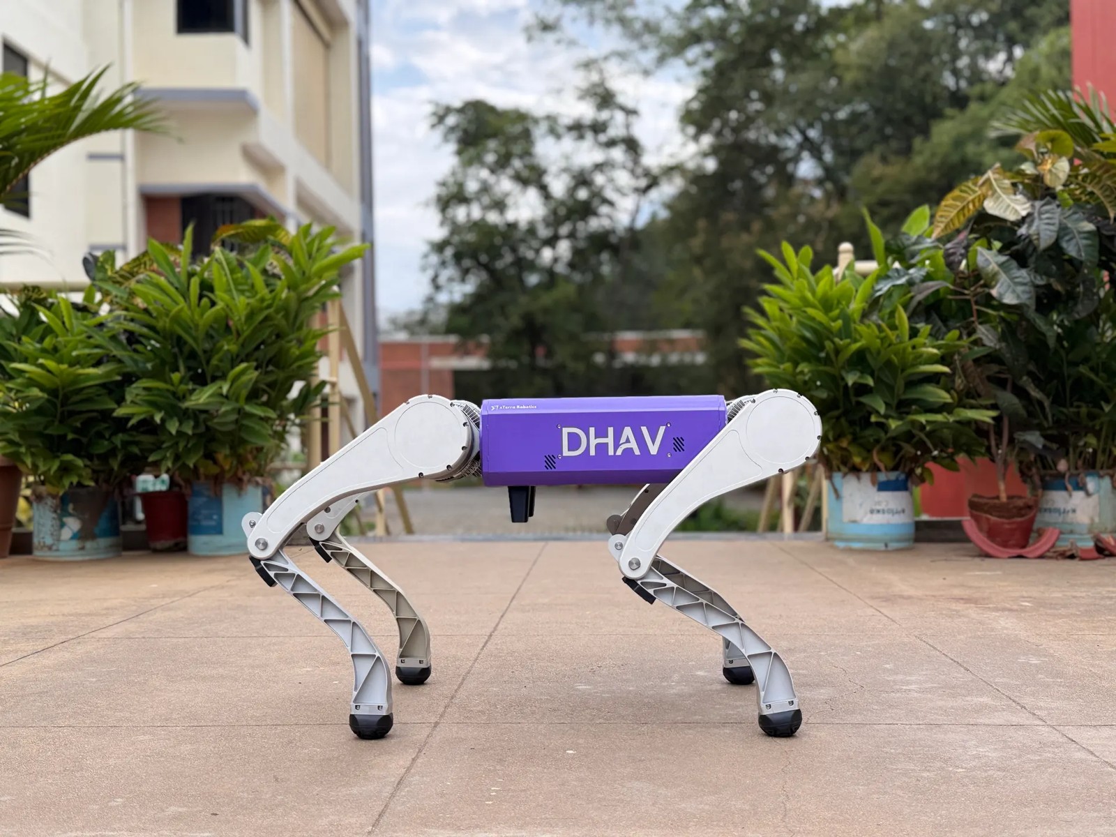 DHAV