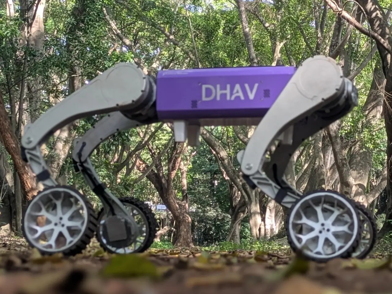 DHAV-Hy robot