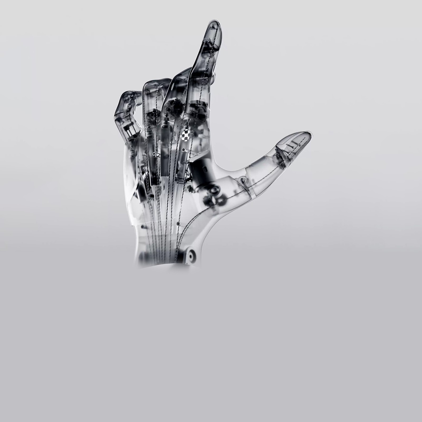 Xynova Flex 2