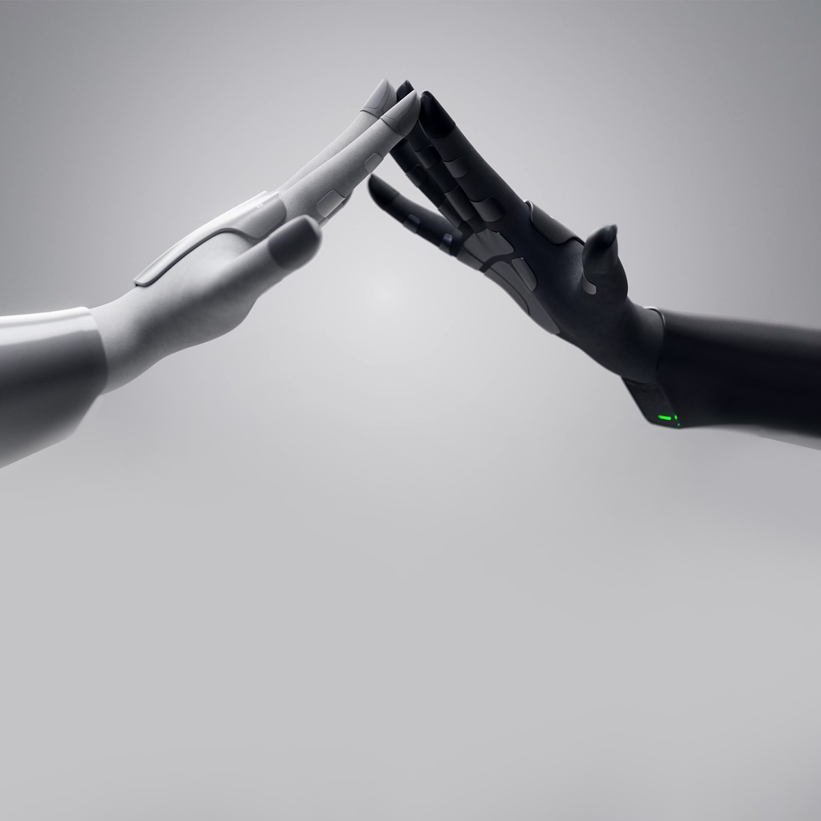 Xynova Flex 2