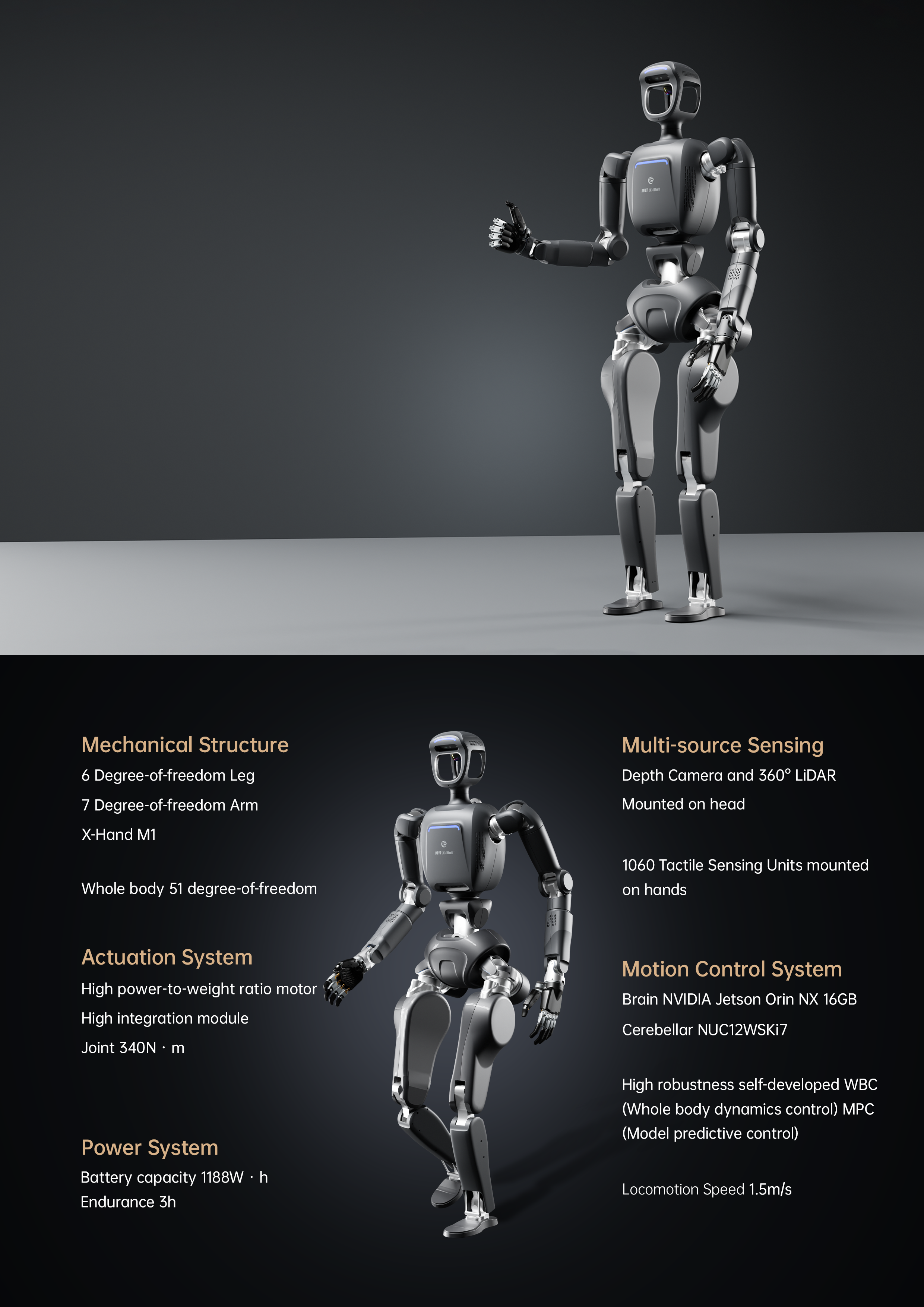 X-Bot
