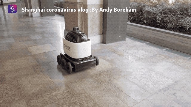 RoboBat MINI