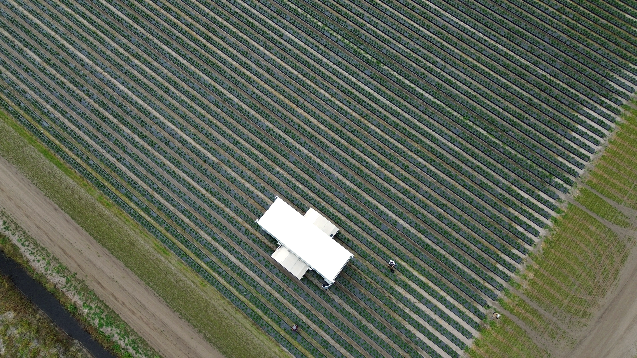 Harvest CROO B8 Harvester robot