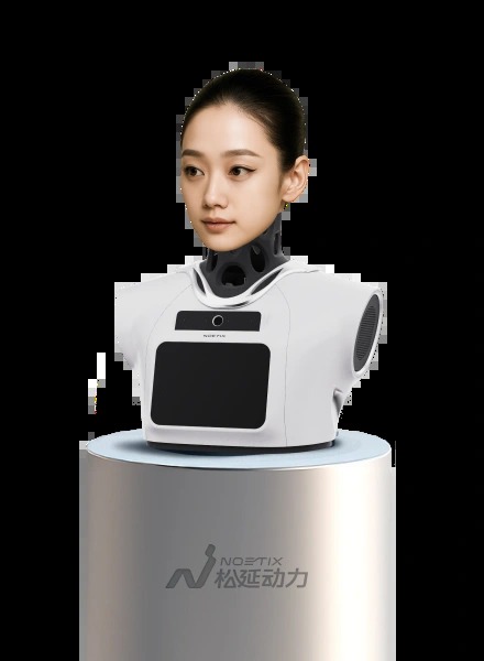 Noetix Hobbs 3 robot