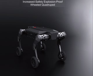 MOVENEW P1 ExR