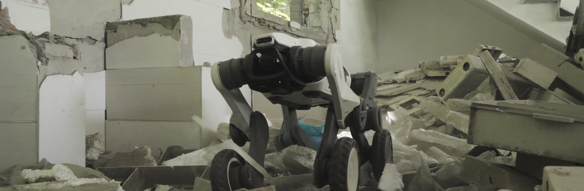 Lynx S10 — DEEP Robotics official photo 1