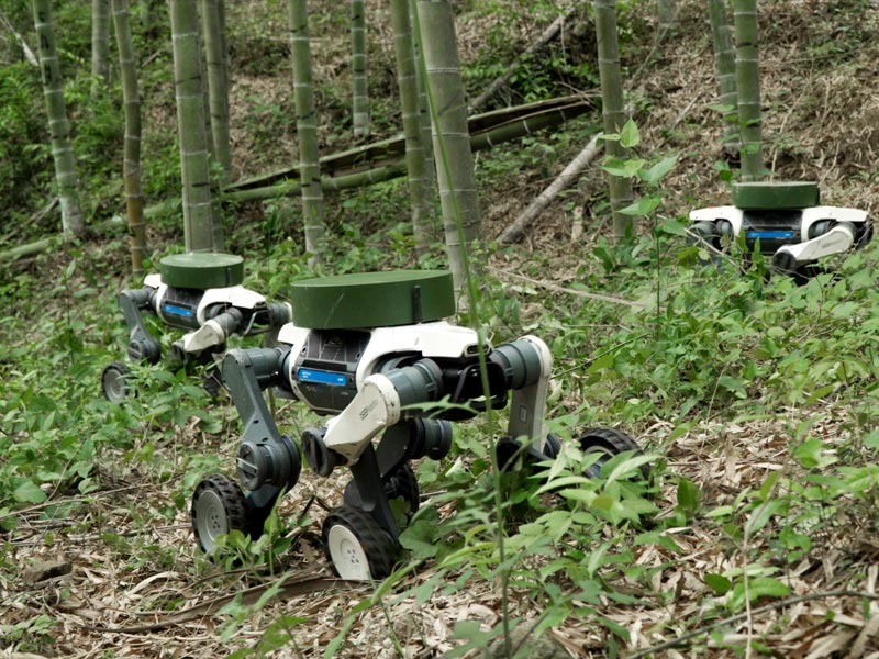 Lynx S10 — DEEP Robotics official photo 2