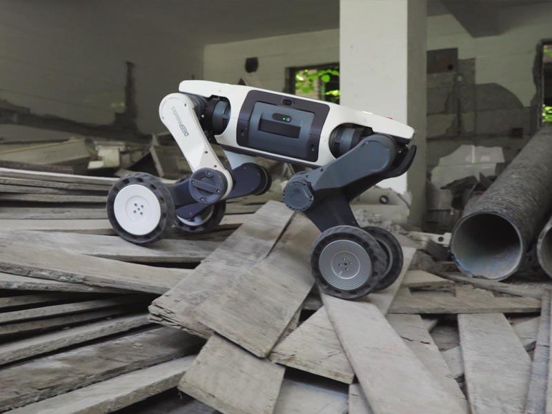 Lynx S10 — DEEP Robotics official photo 3