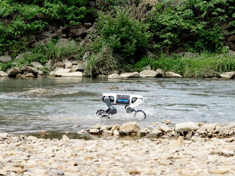Lynx S10 — DEEP Robotics official photo 4