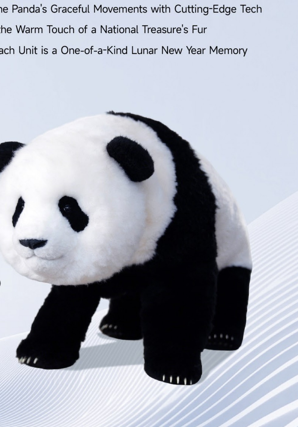 Magic Panda
