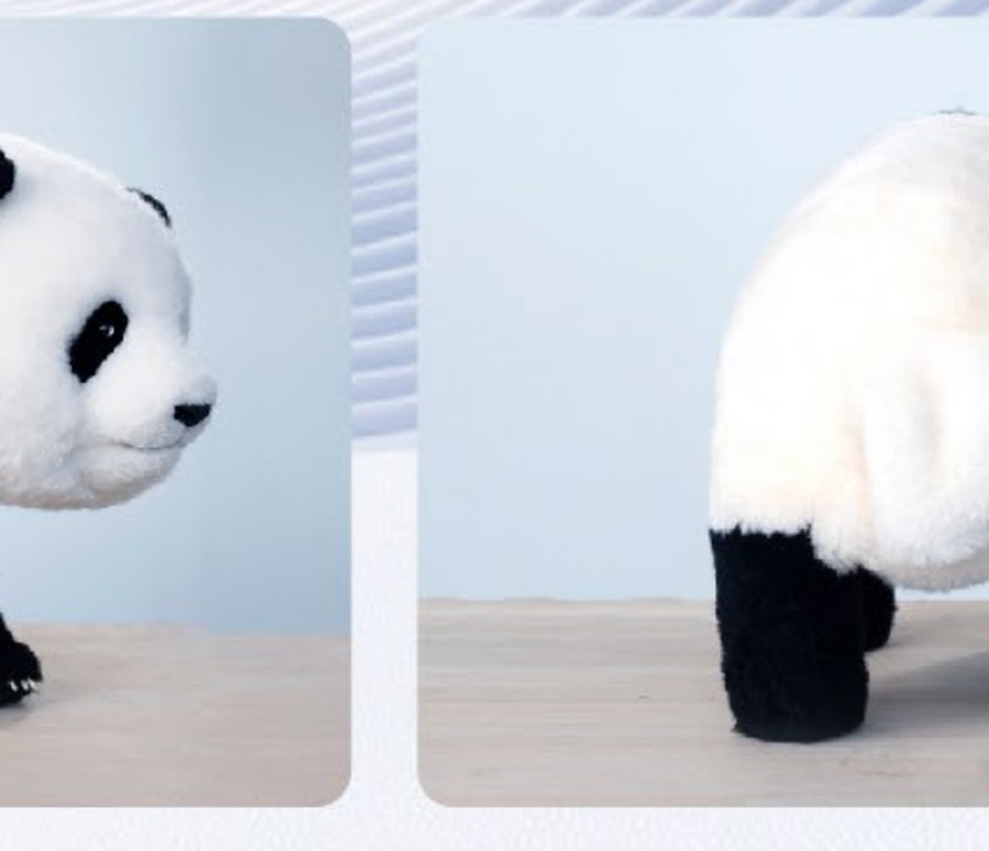 Magic Panda