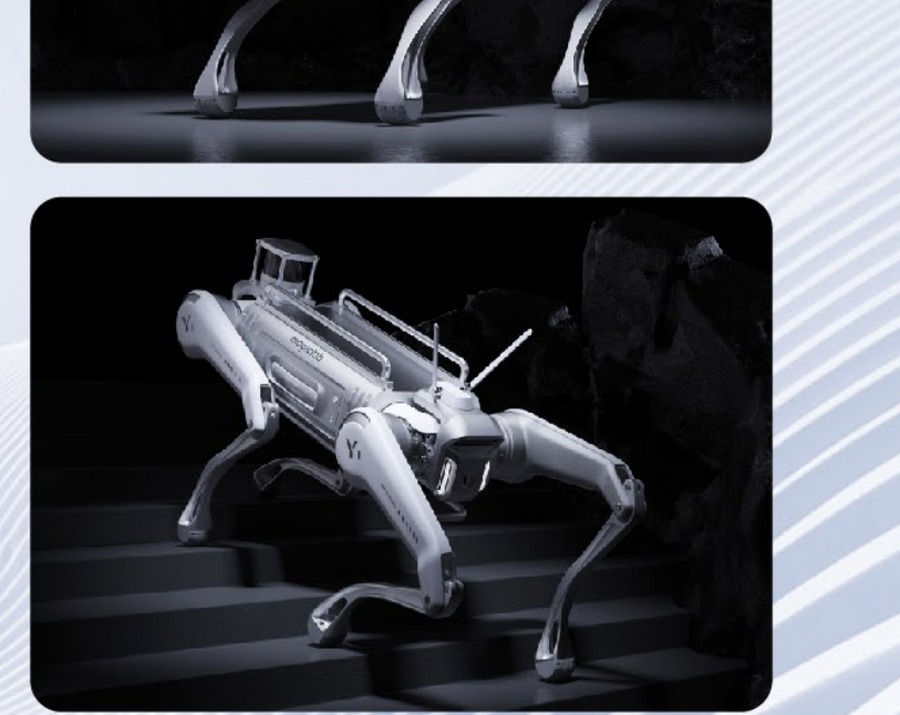MagicDog Y1 robot