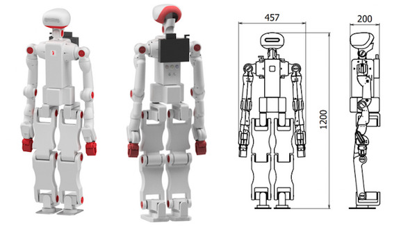 RT Bonobo robot
