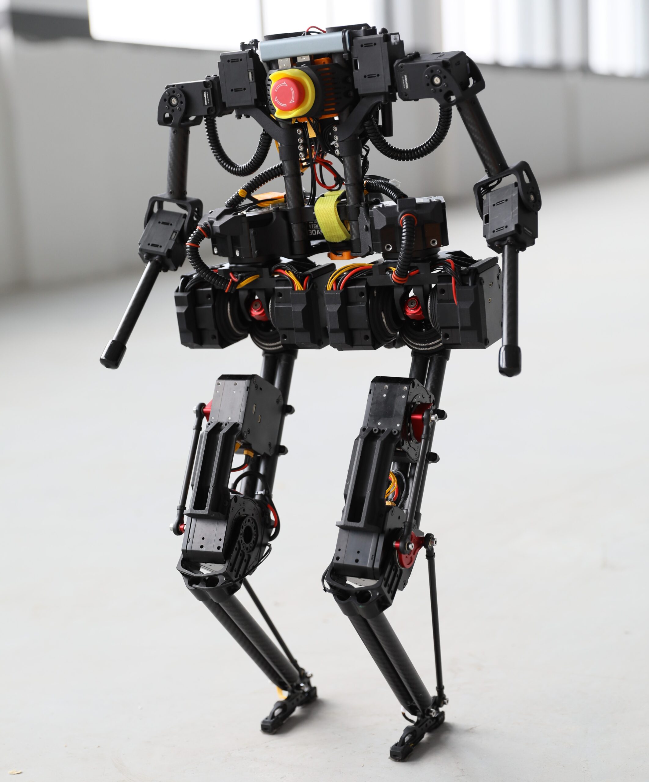 BRUCE robot