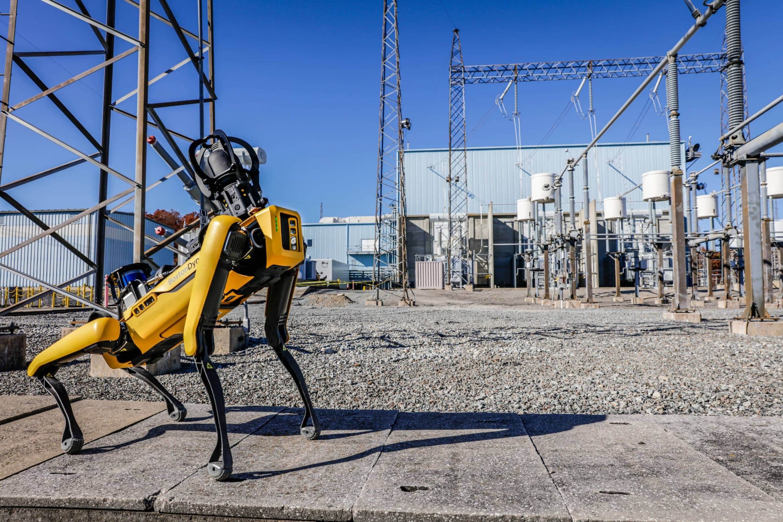 Spot robot