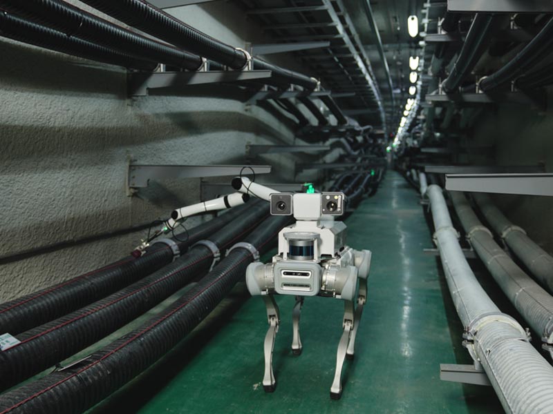 DEEP Robotics X20 - official product image