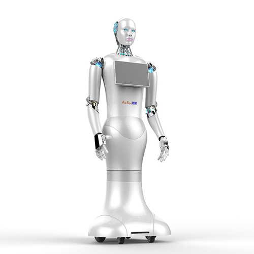 XiaoAo Robot robot