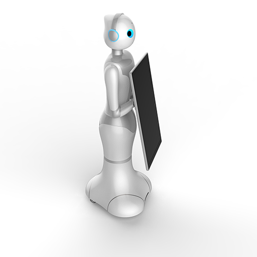 SuanTou Robot robot
