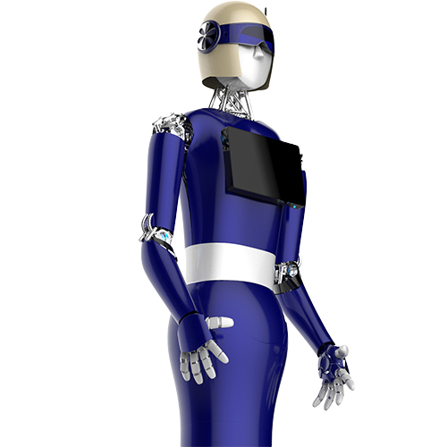 LanDou Robot robot