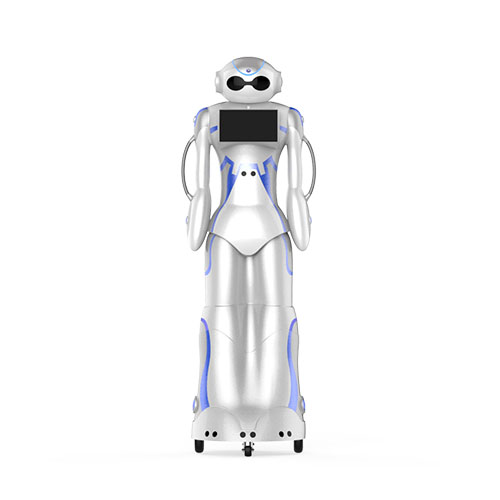 DaBai Robot robot