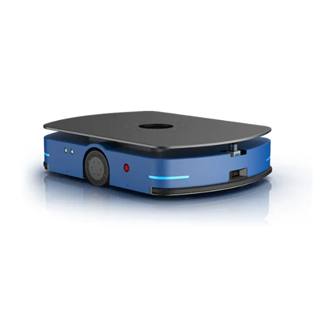 W3-1000MBH robot