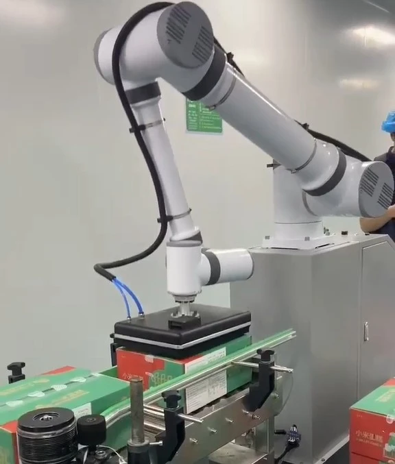 Collaborative Robot Palletizer