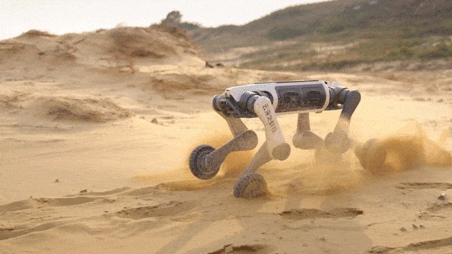 LYNX M20 Pro robot