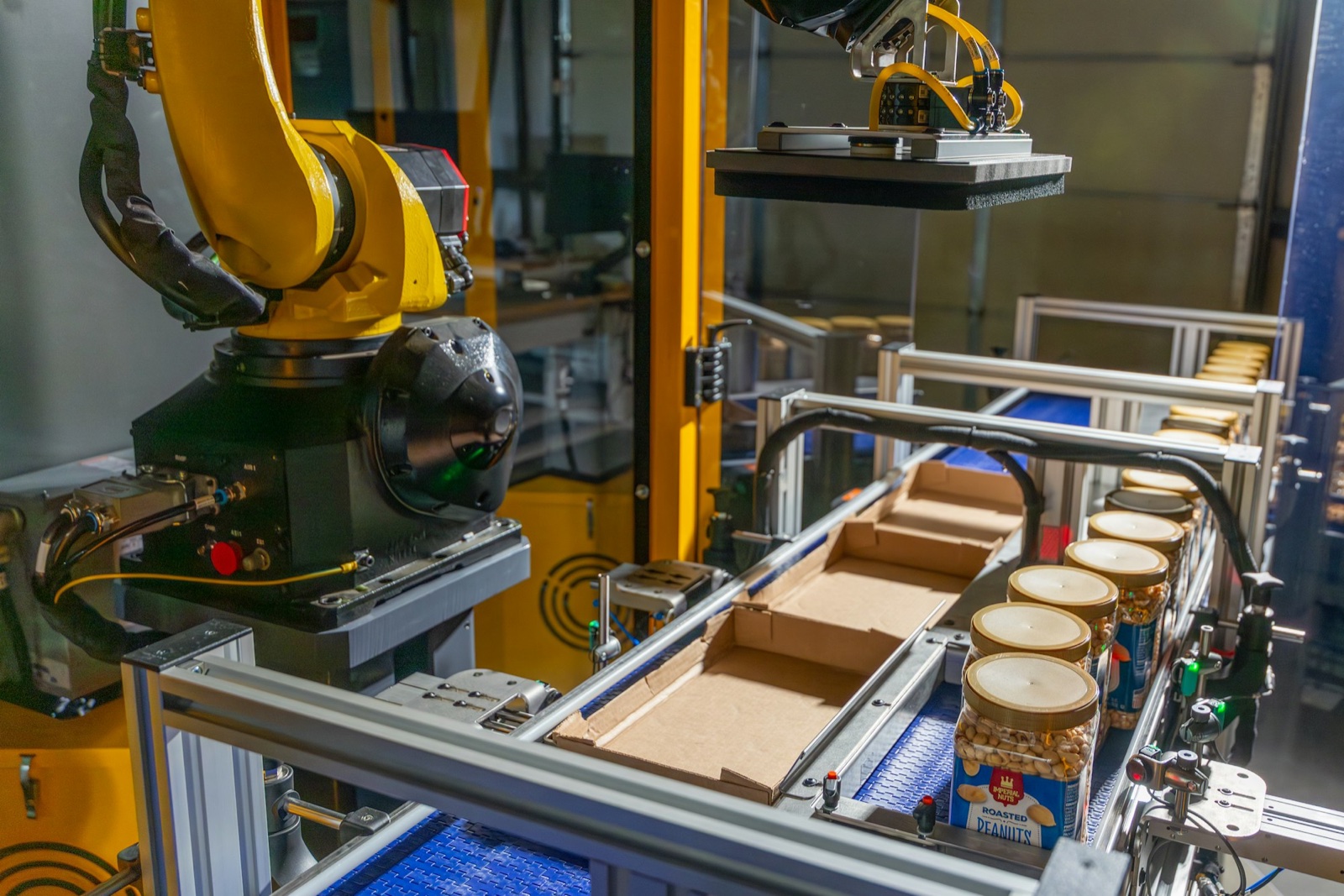 Formic Top Load Case Packer robot