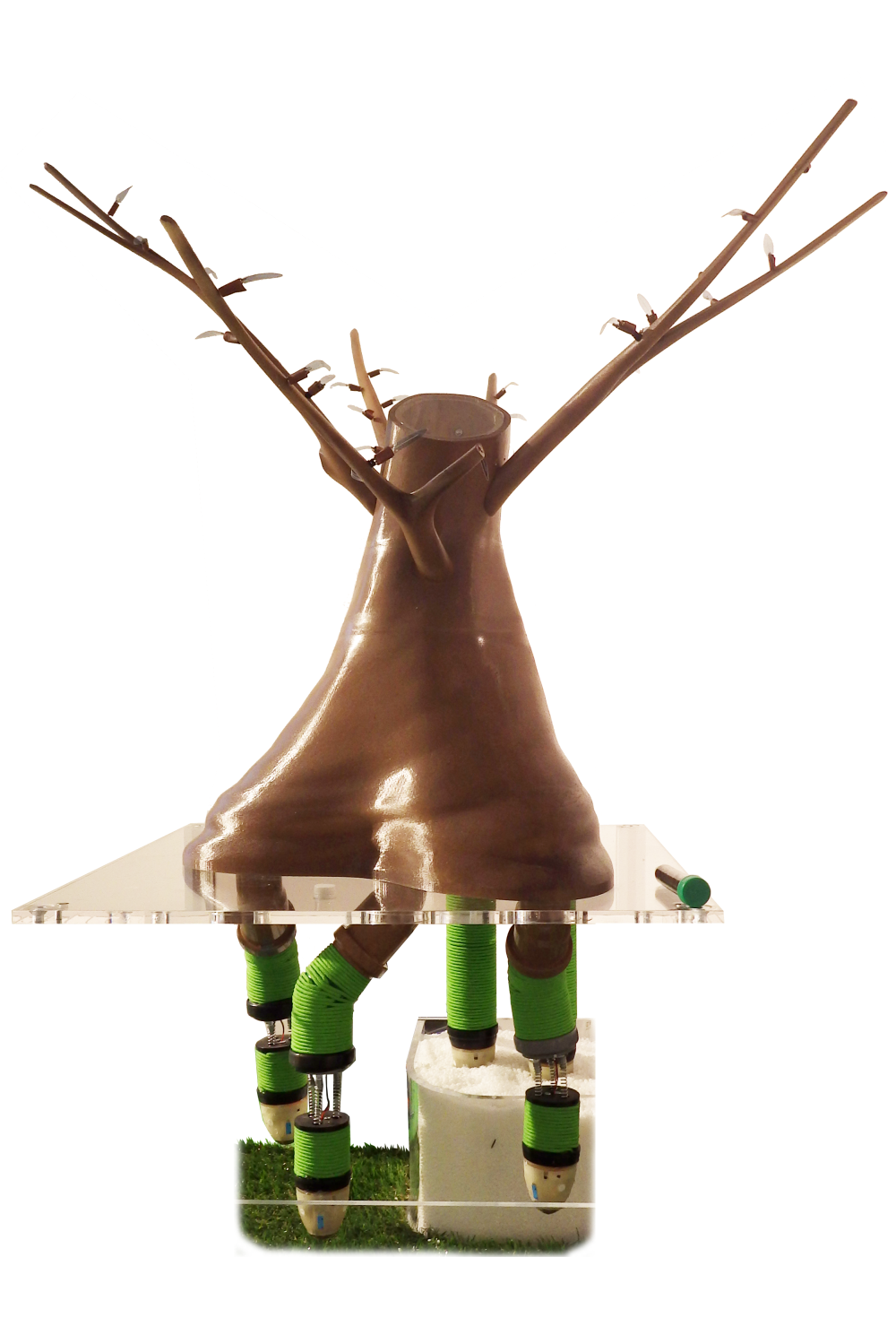 PLANTOID robot