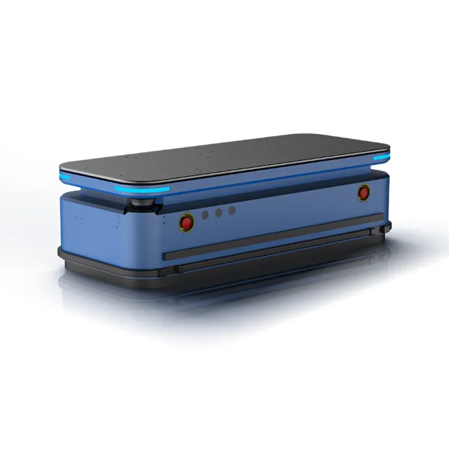 W8-600DS robot