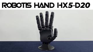HX5-D20 Robot Hand robot