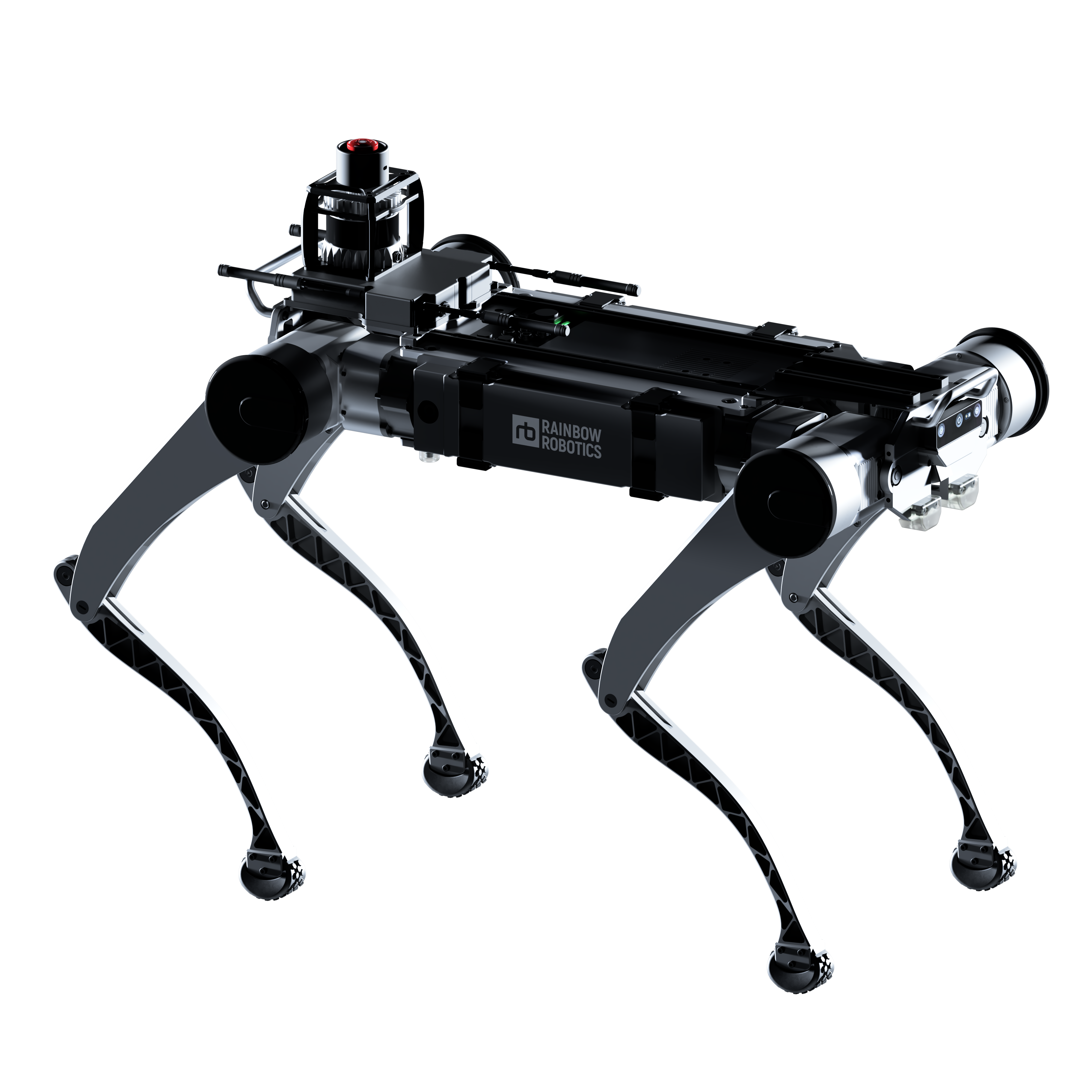 RBQ-10 robot
