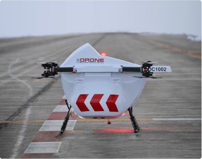 Sparrow robot