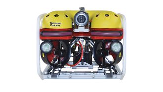 Falcon robot