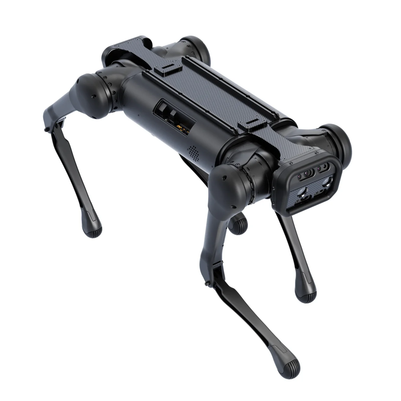 Unitree Aliengo robot