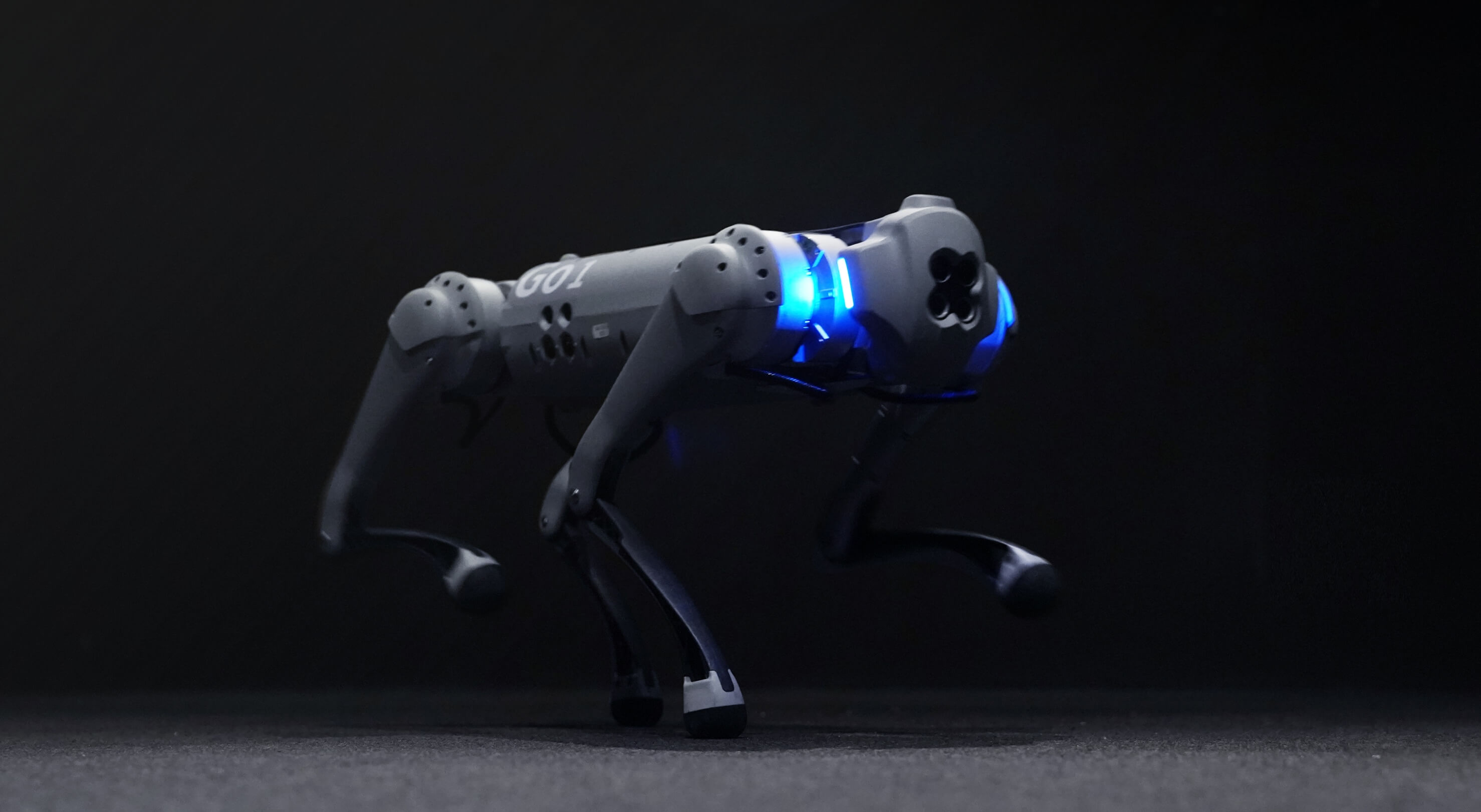 Unitree Go1 Edu robot