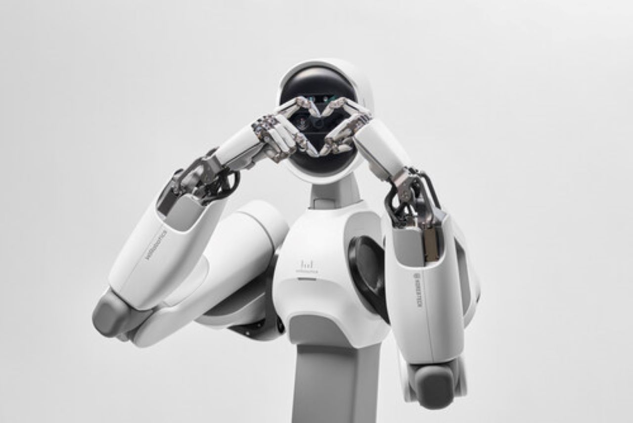 EVE robot