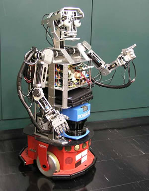 Robisuke robot