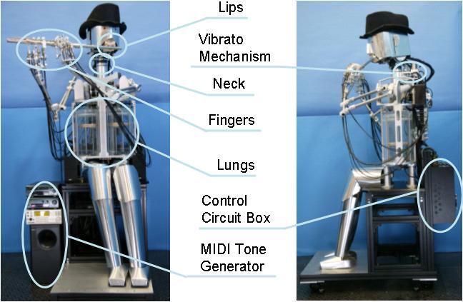 WF-4 - annotated overview