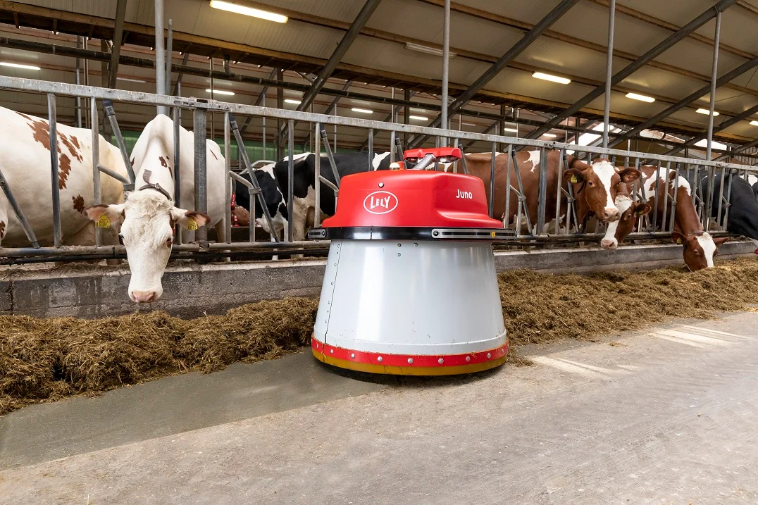 Lely Juno robot