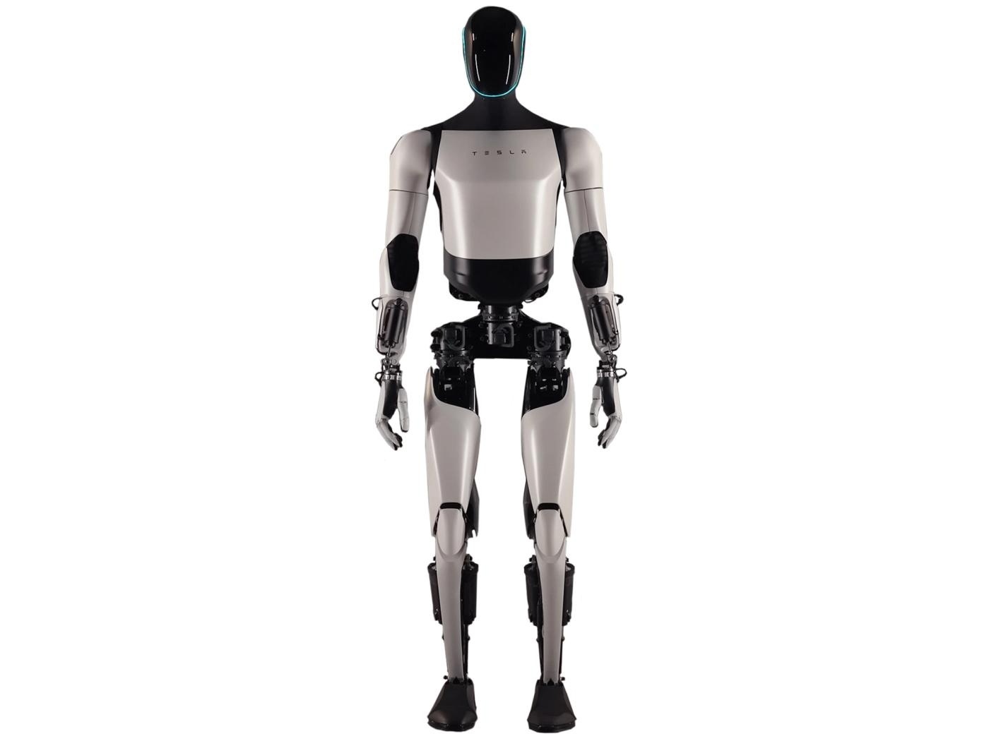 Tesla Optimus (Tesla Bot) robot