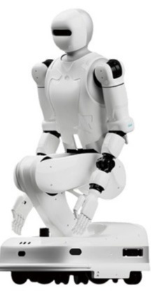 YMBot Type D robot