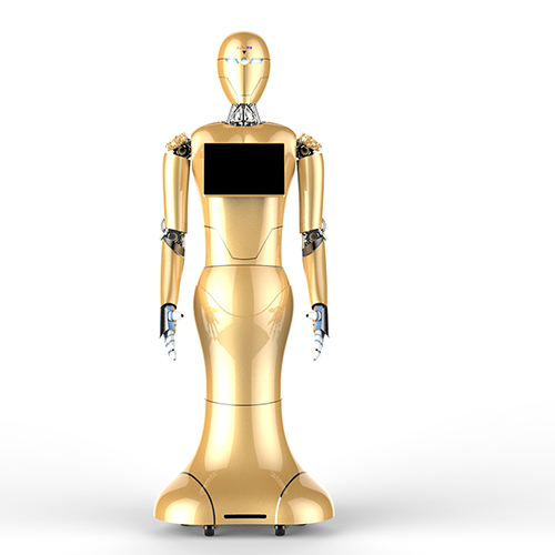 DaJin Robot