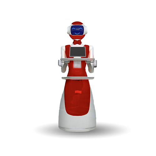 LeLe Robot