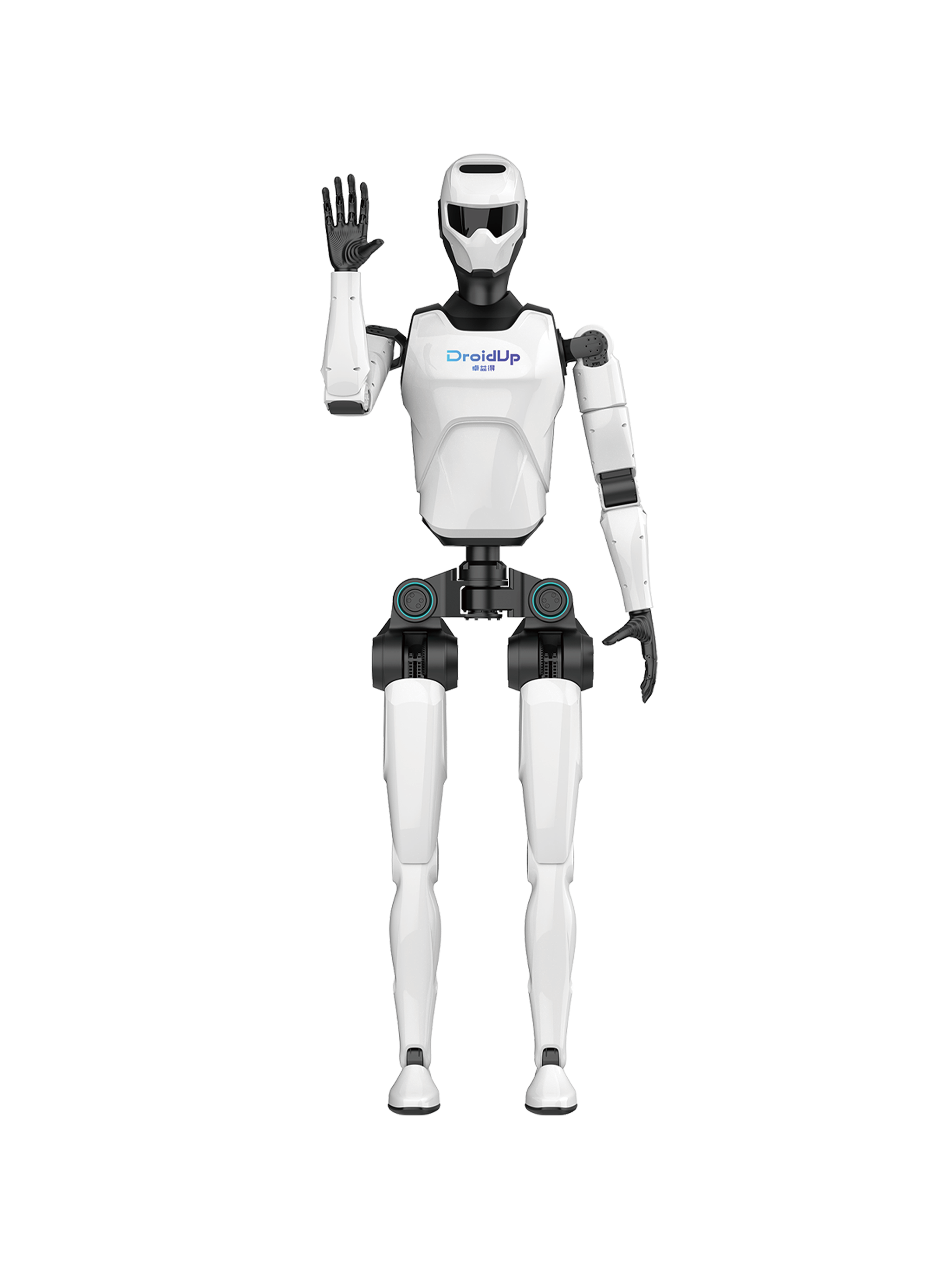 Ruina robot