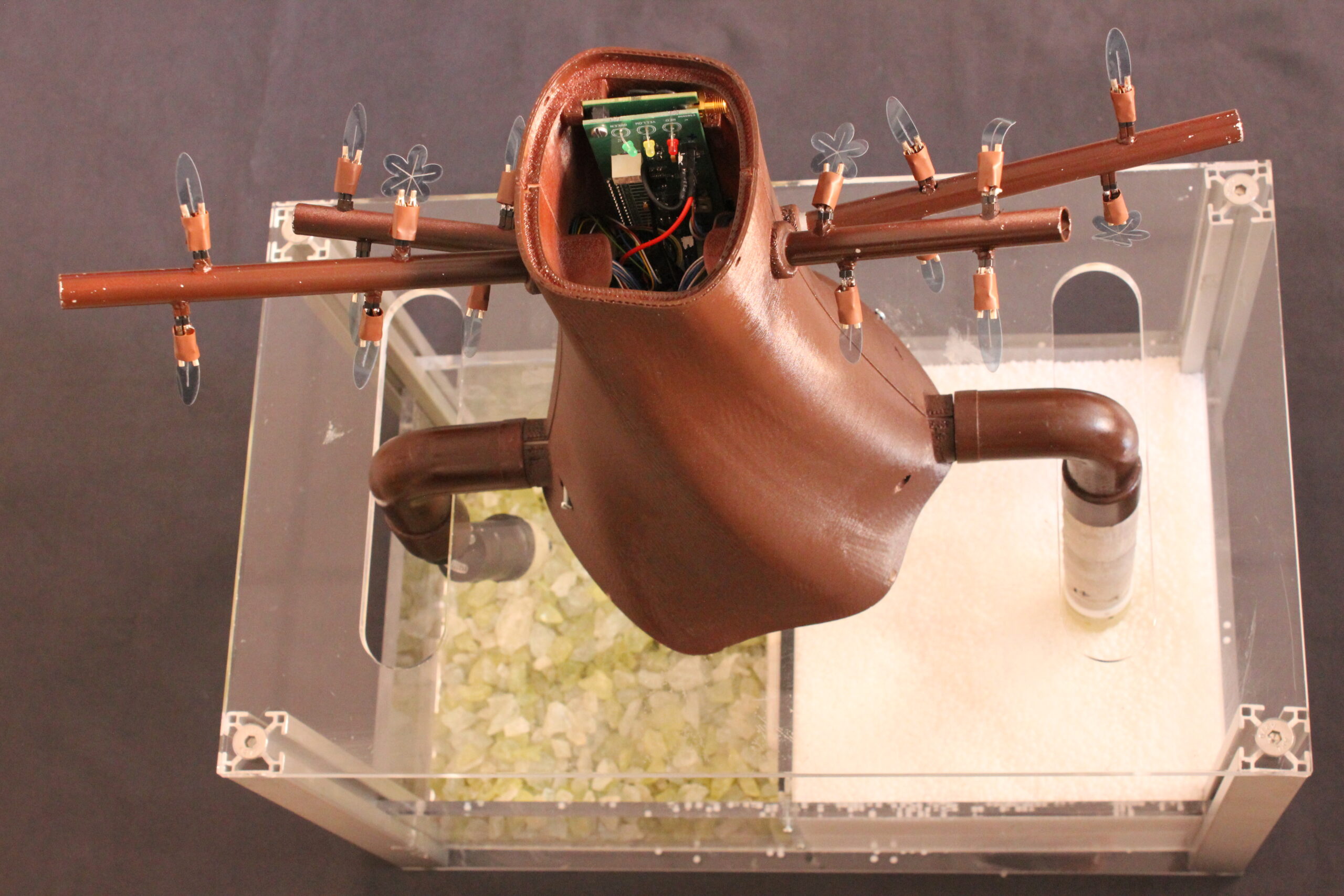 PLANTOID